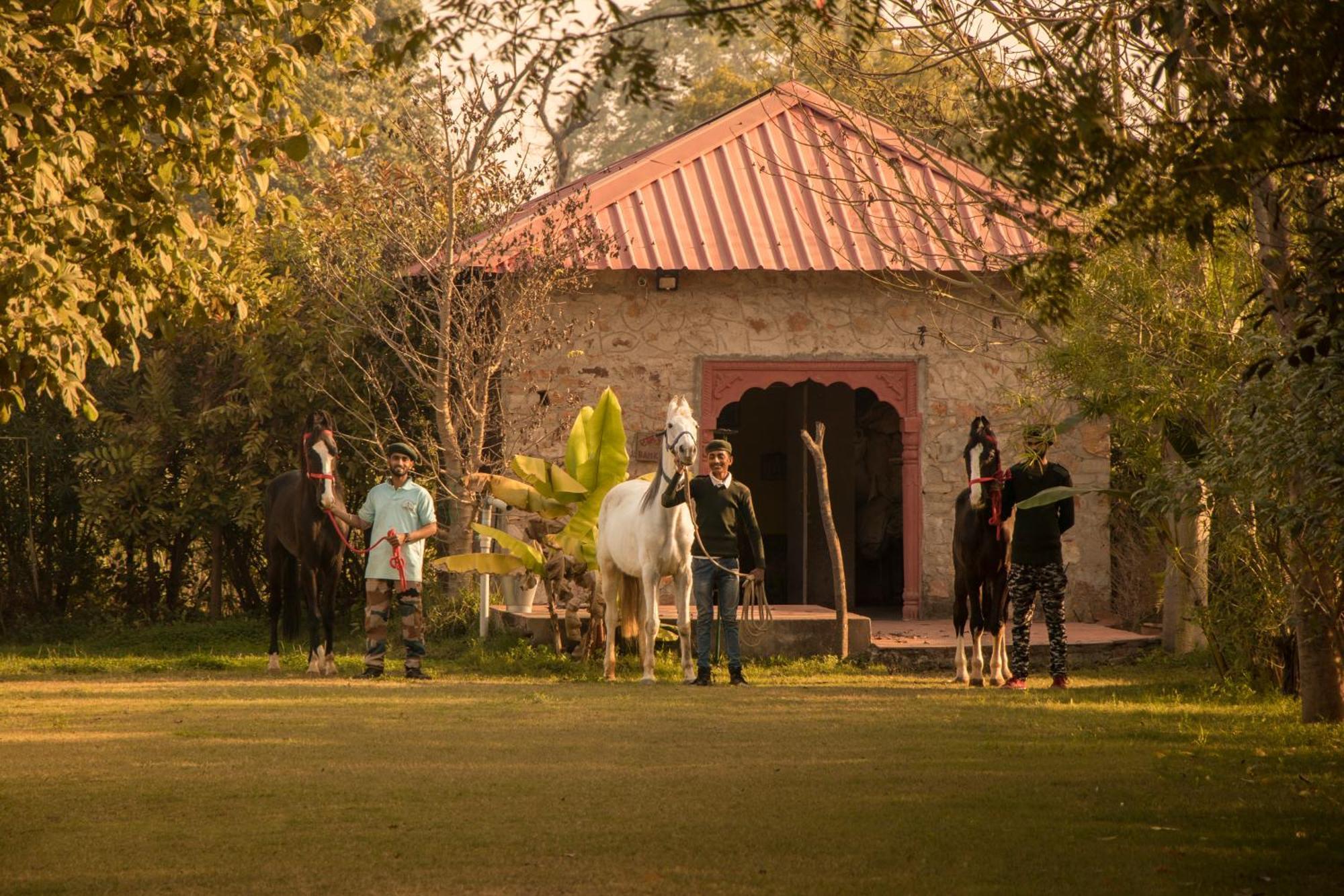 Maa Ashapura Resort Савай Мадхопур Екстериор снимка